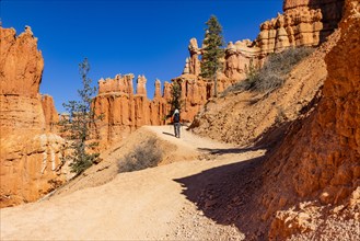 Rear view of woman hiking in Bryce Canyon National Park on sunny day, , Utah, USA