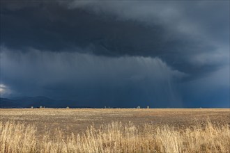 Dark storm clouds over field, Fairfield, Idaho, USA