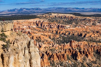 Sandstone rock formations in Bryce Canyon National Park, , Utah, USA