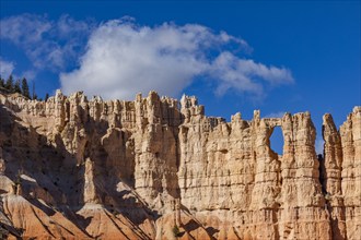 Sandstone rock formations in Bryce Canyon National Park, , Utah, USA