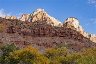 Cliffs and trees in Zion National Park in autumn, , Utah, USA