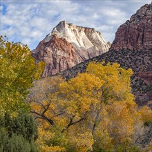 Cliffs and trees in Zion National Park in autumn, , Utah, USA