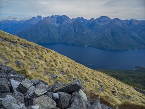 Fjord surrounded by green mountains in Fiordland National Park, Te Anau, Fiordland, New Zealand