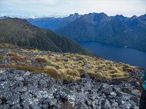 Fjord surrounded by green mountains in Fiordland National Park, Te Anau, Fiordland, New Zealand