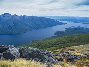 Fjord surrounded by green mountains in Fiordland National Park, Te Anau, Fiordland, New Zealand