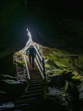 Rear view of hiker on steps in Fiordland National Park, Te Anau, Fiordland, New Zealand