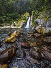 Waterfall and creek in forest in Fiordland National Park, Te Anau, Fiordland, New Zealand