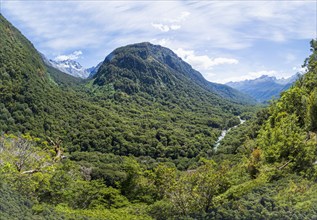 Green forested hills in Fiordland National Park, Te Anau, Fiordland, New Zealand