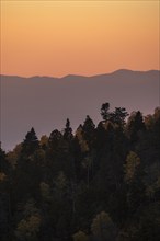 Usa, New Mexico, Santa Fe, Forest and Sangre De Cristo Mountains at sunset, Santa Fe, New Mexico,