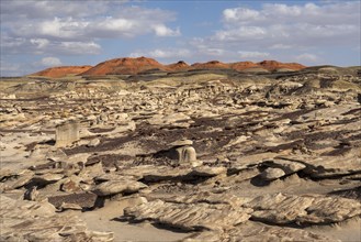 Usa, New Mexico, Bisti Wilderness, Rock formations in Bisti/De-Na-Zin Wilderness, , New Mexico, USA