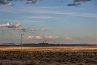 Usa, New Mexico, Shiprock, Electricity poles in High Desert, Shiprock, New Mexico, USA