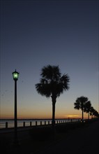 USA, South Carolina, Charleston, Silhouettes of palm trees near Ashley River at sunset, Charleston,