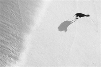 Overhead view of Grackel casting shadow on white sand, Surf City, North Carolina, USA