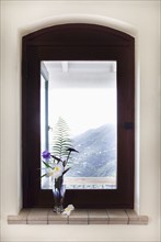 Tropical flowers in vase by window, St. John, United States Virgin Islands, USA