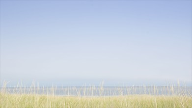 USA, M, Nantucket, View of Nantucket Sound from Madaket with grass in foreground, Nantucket,