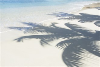 USA, United States Virgin Islands, St. John, Shadows of palm trees on white sand beach, St. John,