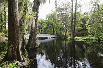 USA, South Carolina, Charleston, White Bridge at Magnolia Plantation, Charleston, South Carolina,