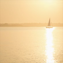 USA, South Carolina, Charleston, Sailboat on Charleston Harbor at sunset, Charleston, South