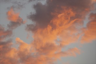 Peach colored clouds on sky at sunset, Nashville, Tennessee, USA