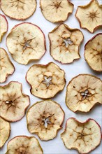 Overhead view of baked apple slices on white background, New York, New York, USA