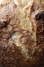 Close-up of sourdough bread, New York, New York, USA