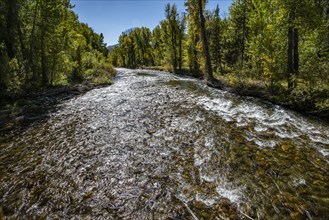 USA, Idaho, Big Wood River in Fall at Sun Valley, Sun Valley, Idaho, USA