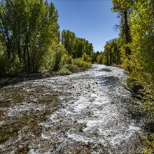 USA, Idaho, Big Wood River in Fall at Sun Valley, Sun Valley, Idaho, USA