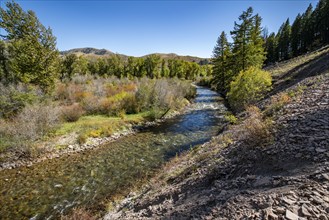 USA, Idaho, Big Wood River in Fall at Sun Valley, Sun Valley, Idaho, USA