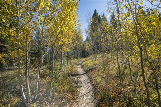 USA, Idaho, Hiking trail in Fall at Sun Valley, Sun Valley, Idaho, USA