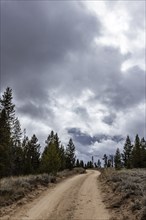 USA, Idaho, Dirt road leads through Sawtooth National Forest on cloudy day, Stanley, Idaho, USA