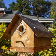 Wooden birdhouse in garden on sunny day, Mt. Horeb, Wisconsin, USA