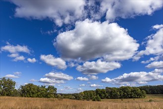 USA, Wisconsin, Clouds over landscape in Donald County Park near Madison, Mt. Horeb, Wisconsin, USA