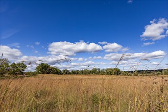 USA, Wisconsin, Clouds over landscape in Donald County Park near Madison, Mt. Horeb, Wisconsin, USA