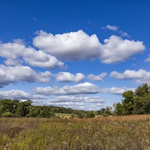 USA, Wisconsin, Clouds over landscape in Donald County Park near Madison, Mt. Horeb, Wisconsin, USA