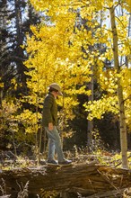 USA, New Mexico, Boy walking on log in Santa Fe National Forest, Santa Fe, New Mexico, USA