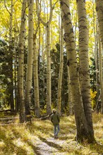 USA, New Mexico, Boy walking on footpath in Santa Fe National Forest, Santa Fe, New Mexico, USA