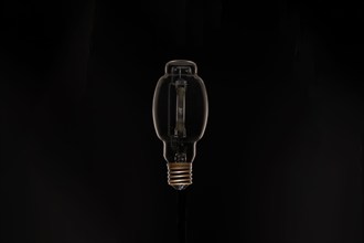 Studio shot of light bulb against black background, Austin, Texas, USA