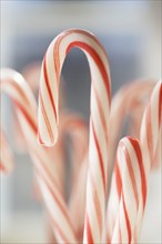 USA, New Jersey, Chatham, Close-up of Christmas candy canes, Chatham, New Jersey, USA