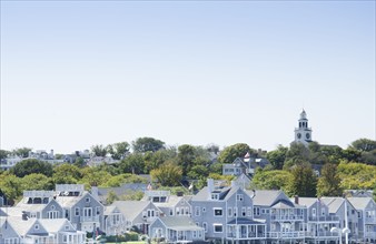 USA, Massachusetts, Blue houses and tree on Nantucket Island, Nantucket, Massachusetts, USA