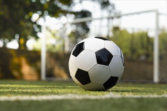 USA, New York State, New York City, Soccer ball on turf field, New York City, New York, USA