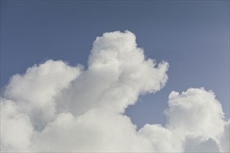 White cumulus clouds against blue sky, , St. John, US Virgin Islands