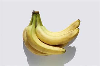 Bunch of bananas on white background, , St. John, US Virgin Islands