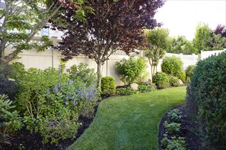 USA, New York, Long Beach, Lawn, trees and flowers in backyard, New York City, New York, USA