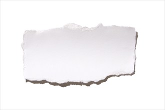 Torn peace of paper on white background, New York City, New York, USA