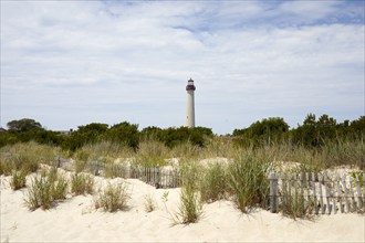 USA, New Jersey, Capy May, Grass on sand dunes with Cape May Lighthouse in distance, Capy May, New