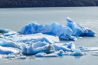 Argentina, Santa Cruz, El Calafate, Perito Moreno glacier ice formations floating on water, El