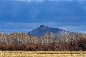 Clouds over field, bushes and trees with Queens Crest mountain in background, Bellevue, Idaho, USA