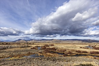 Clouds over wetlands and hills in distance at Silver Creek Preserve, Bellevue, Idaho, USA