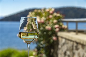 Glass of white wine with lake and blooming rosebush in background, Bariloche, , Argentina