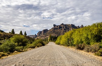 Empty gravel road leading to Estancia Arroyo Verde, Estancia Arroyo Verde, Nequen Province,